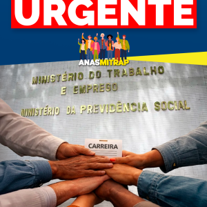 RELATÓRIO CONSOLIDADO DAS VIAGENS A BRASÍLIA – LUTA PELA CARREIRA FINALÍSTICA DOS SERVIDORES DO MTE